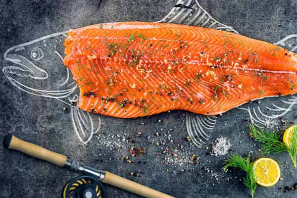 ماهی سالمون مواد غذایی مفید برای کودکان